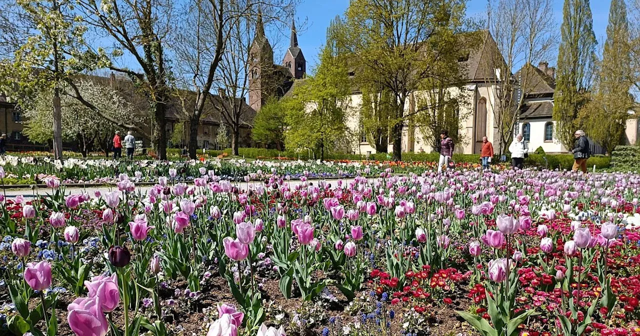 Wochenendtipps Für Den Kreis Höxter: Mit Viel Musik In Den Frühling ...