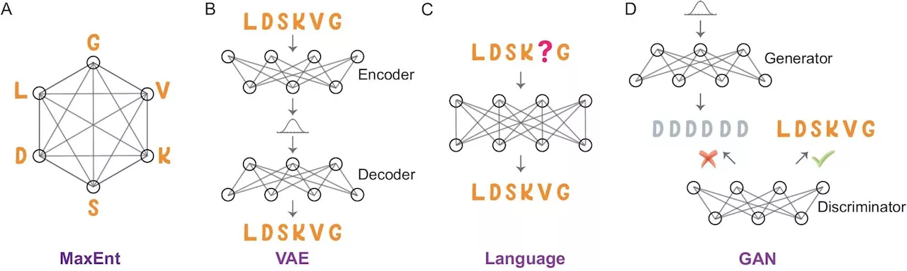 Generative AI Reveals Enzyme Secrets Using Natural Sequences