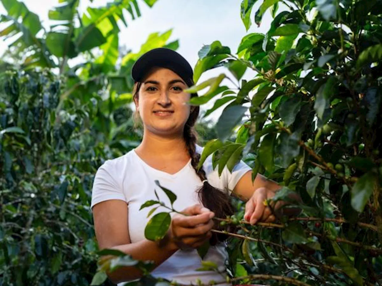 Abierta la convocatoria de En-Campo para acelerar negocios con impacto en la ruralidad