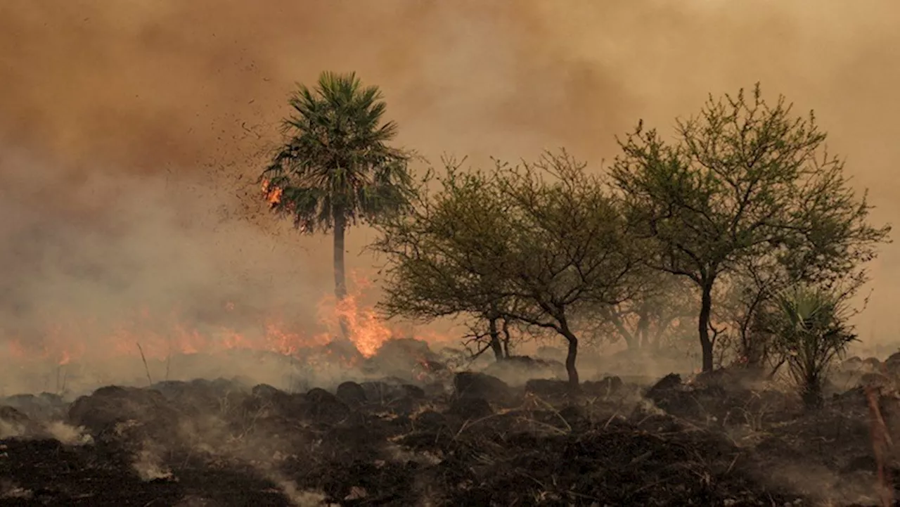 Cape Town urges direct access to disaster funding for faster relief - SABC News