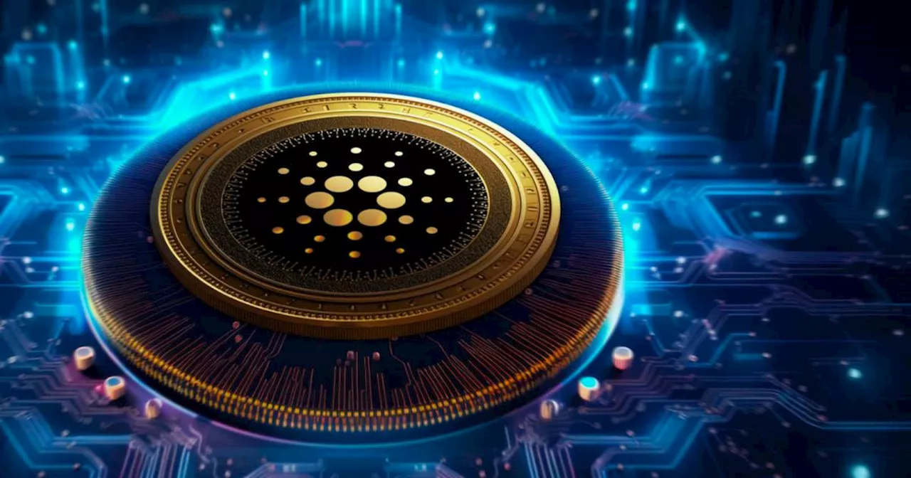 Cardano พุ่งทะยาน ! จำนวนสัญญา Smart Contract พุ่ง 171% ในช่วงที่ตลาด Crypto ซบเซา