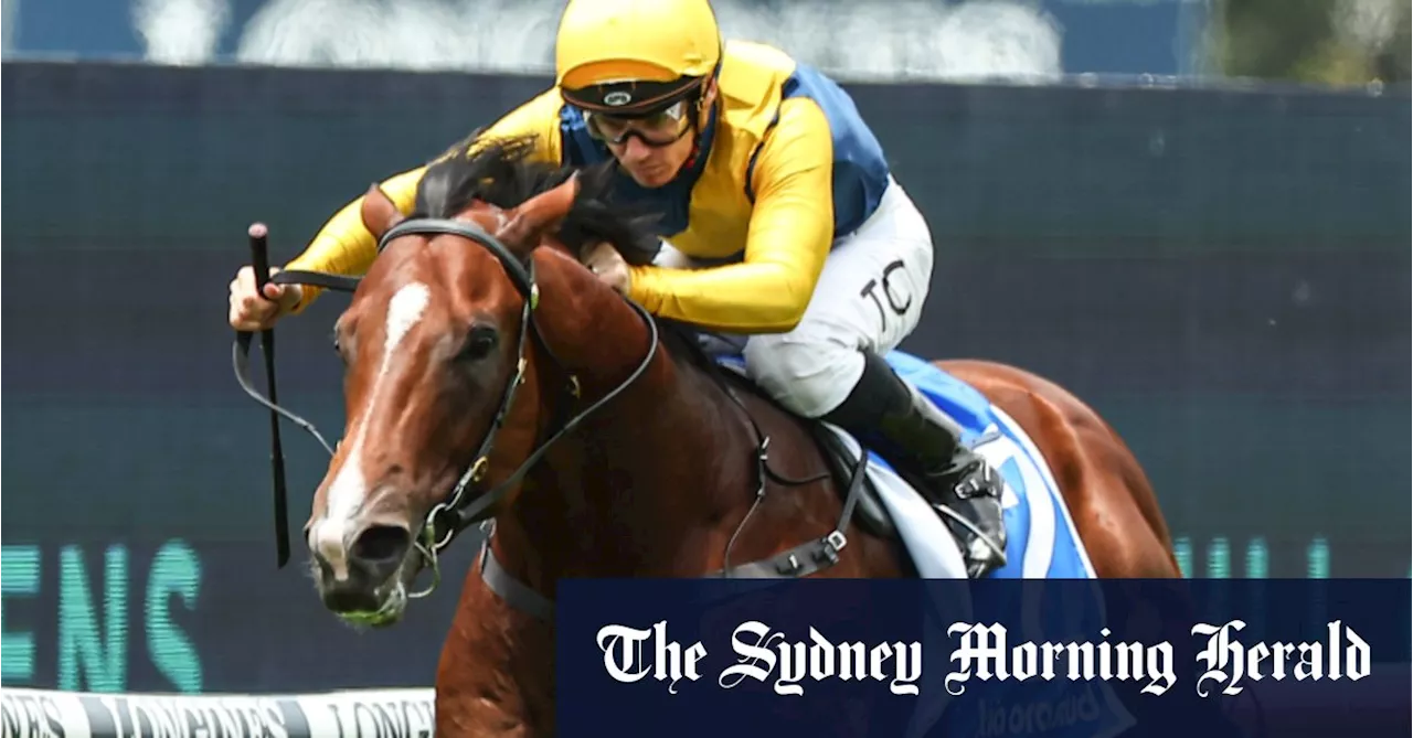 Eye of the storm: Question mark over Golden Slipper favourite