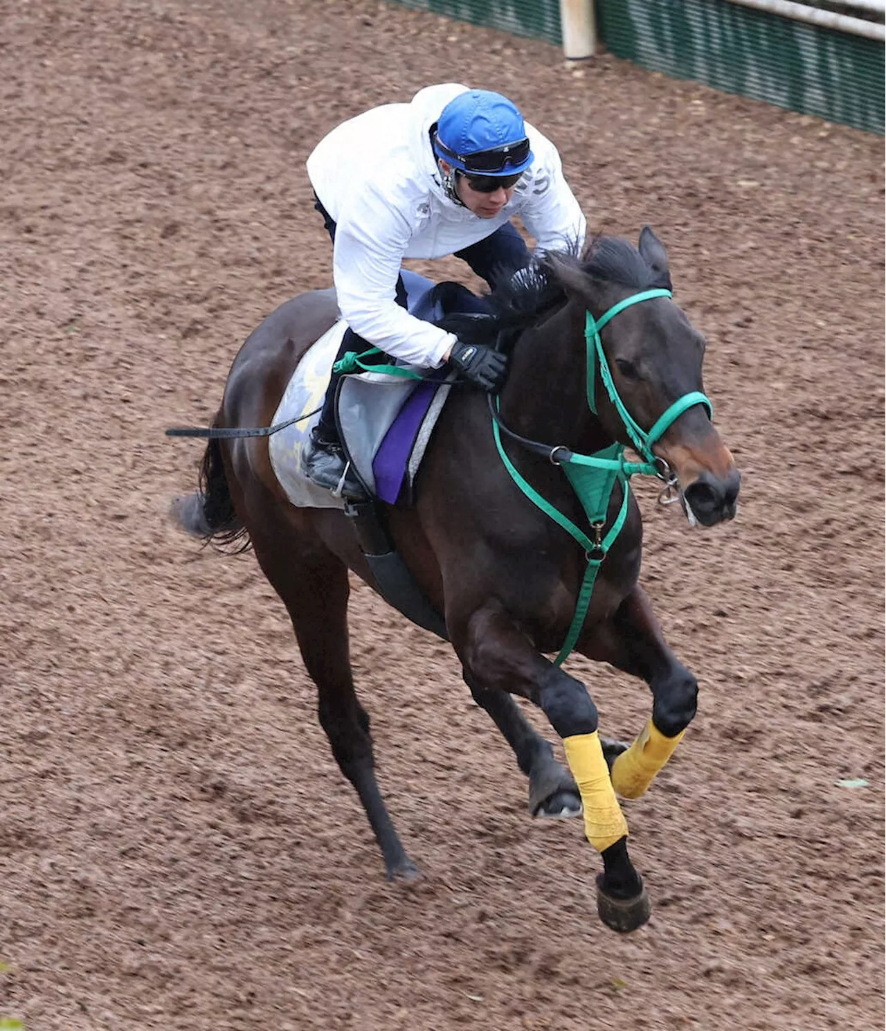 【高松宮記念】ソーダズリング快速全開！持ったまま馬なり4F50秒9