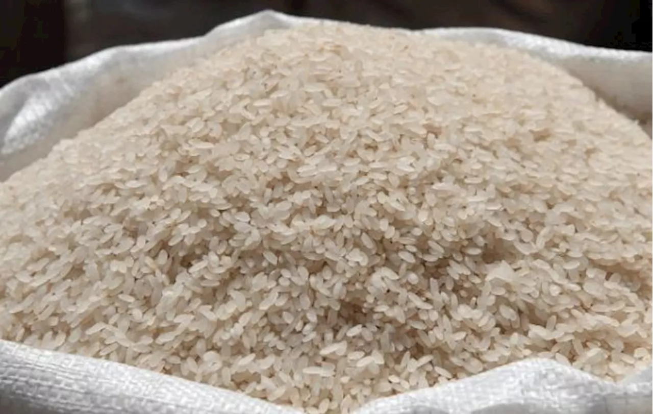 Bernas adjusts price of imported white rice, 10kg bags to cost up to RM3 less