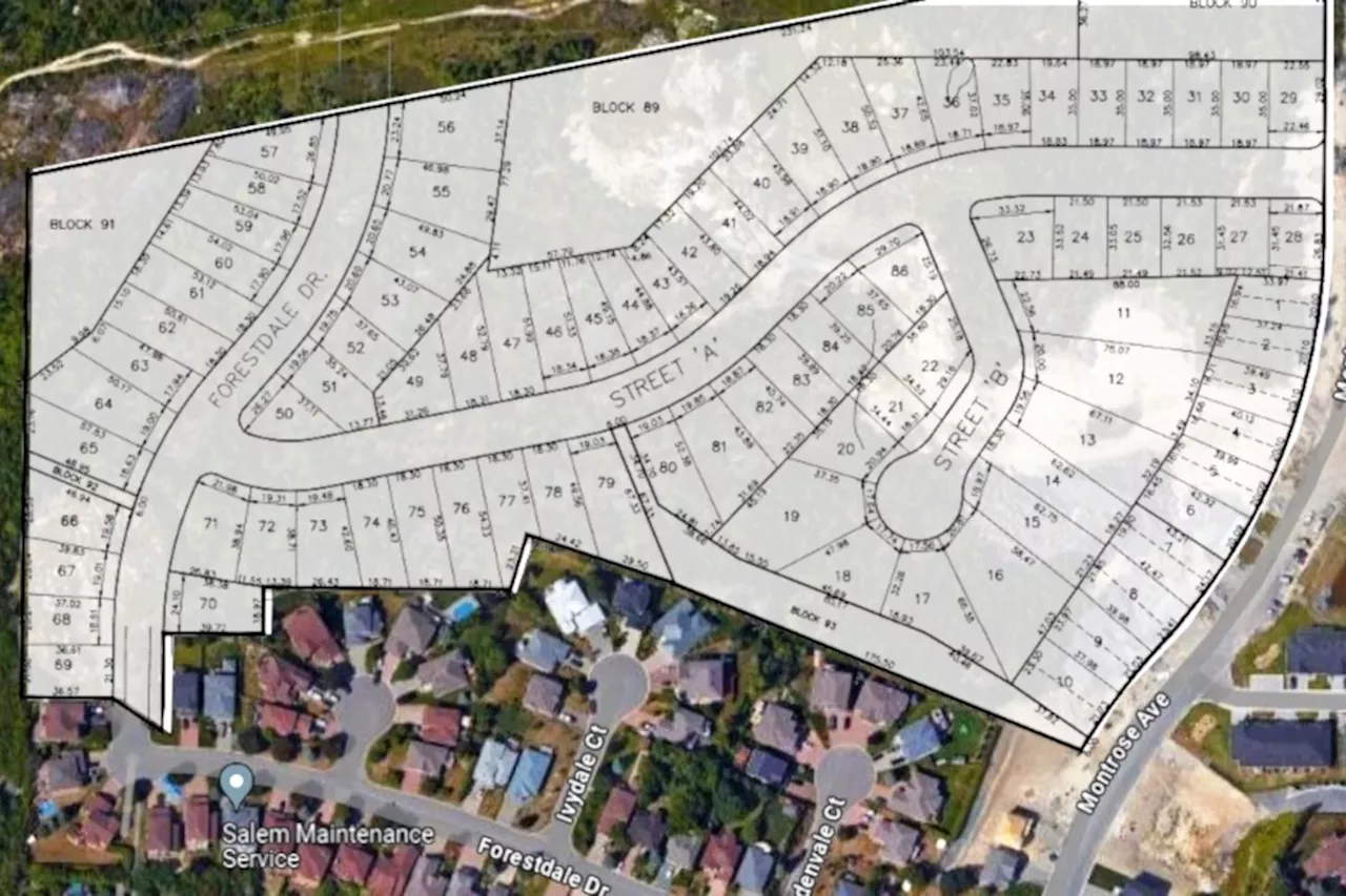 Neighbours oppose the next phase of New Sudbury subdivision