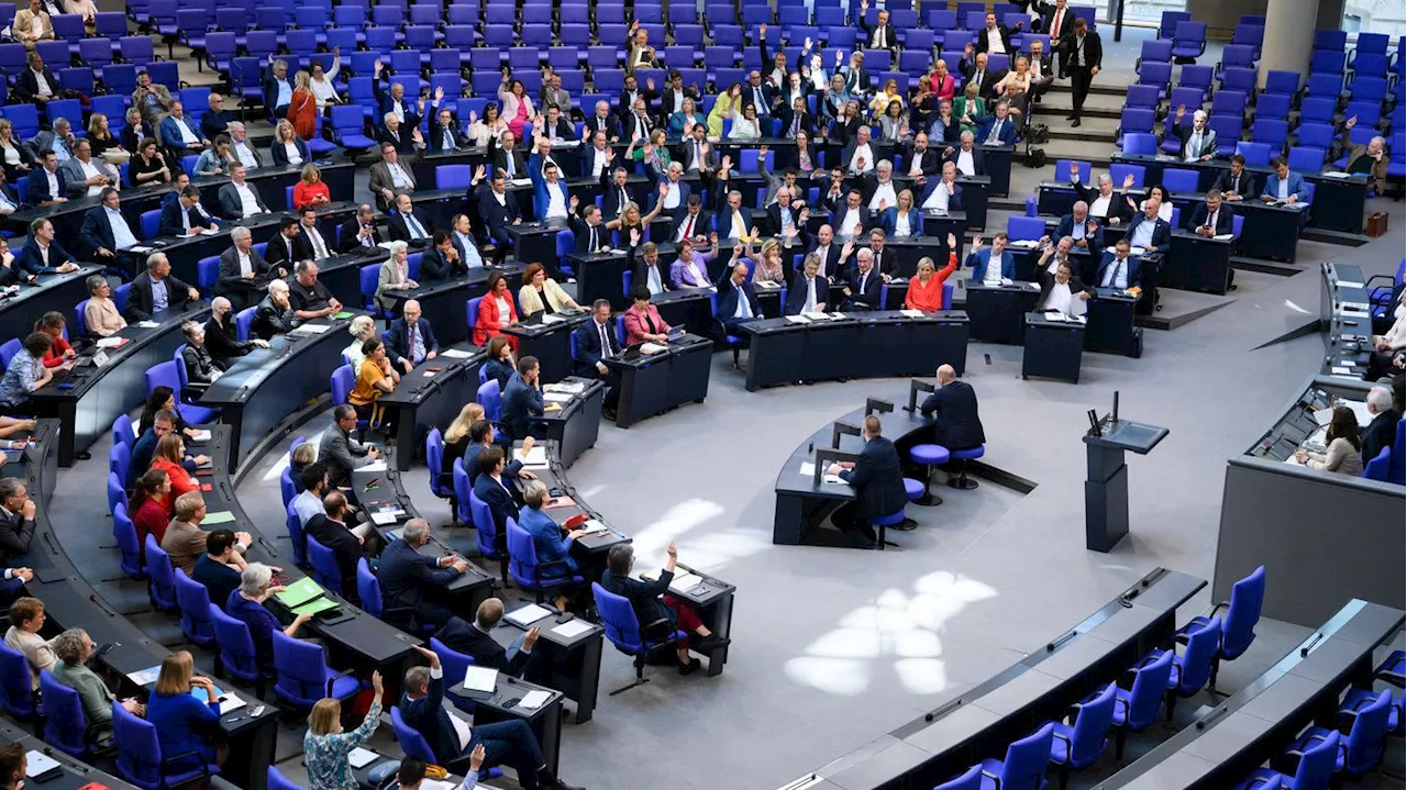 Verhandlung am Bundesverfassungsgericht: Hat die AfD ein Recht auf Ausschussvorsitzende im Bundestag?