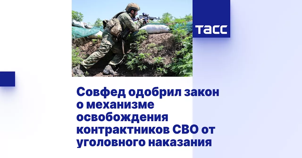 Совфед одобрил закон о механизме освобождения контрактников СВО от уголовного наказания