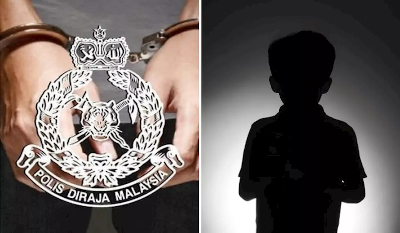 Mersing Party Leader Linked To Sexual Assault Of 15YO Boy, No Confirmation On Identity