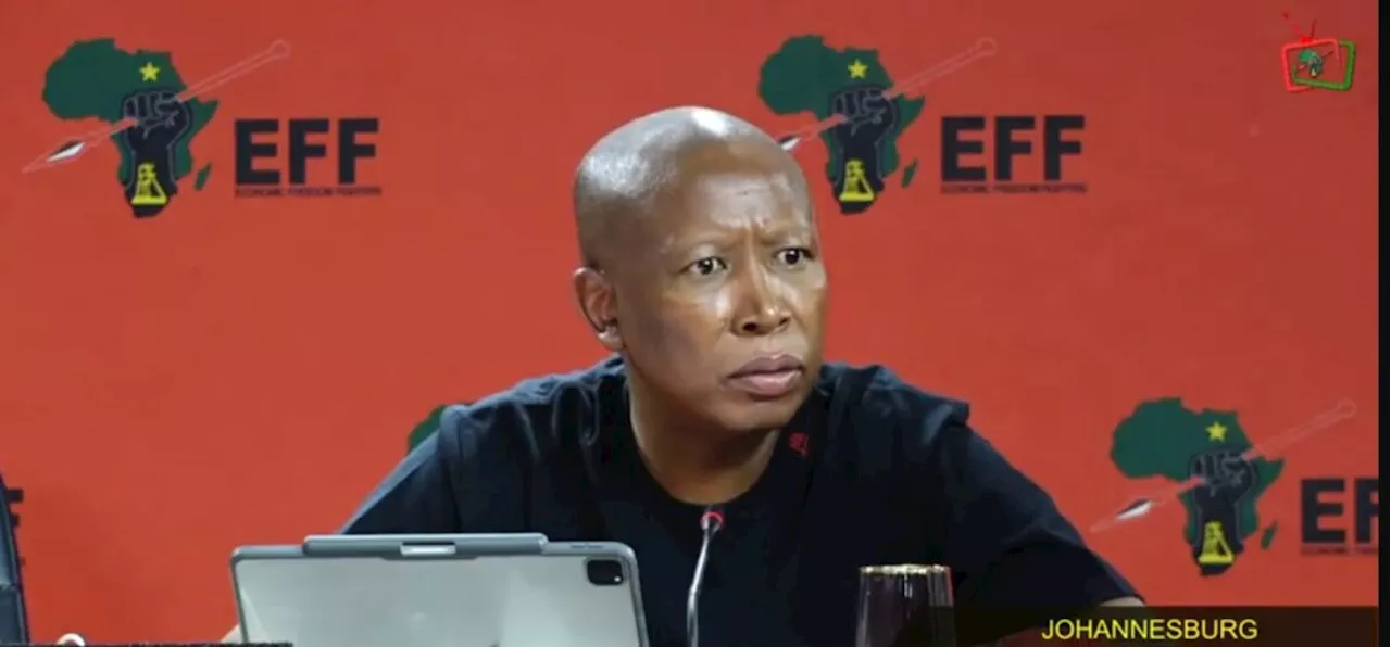 Malema responds to ANCYL president Collen Malatji’s remarks