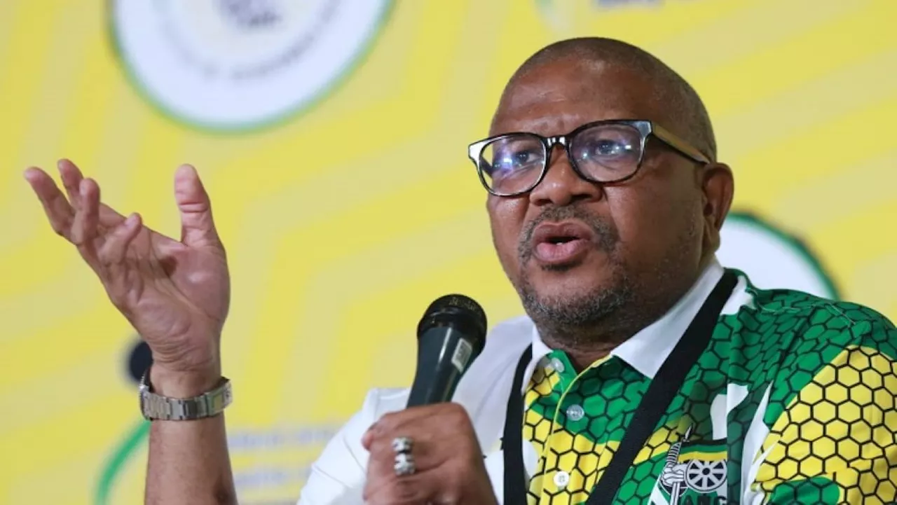 ‘There’s more to come,’ says Mbalula to Zuma and MKP