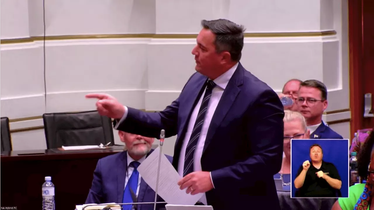 ‘You are accused number 1’: Steenhuisen slams Ramaphosa over late lifestyle audits