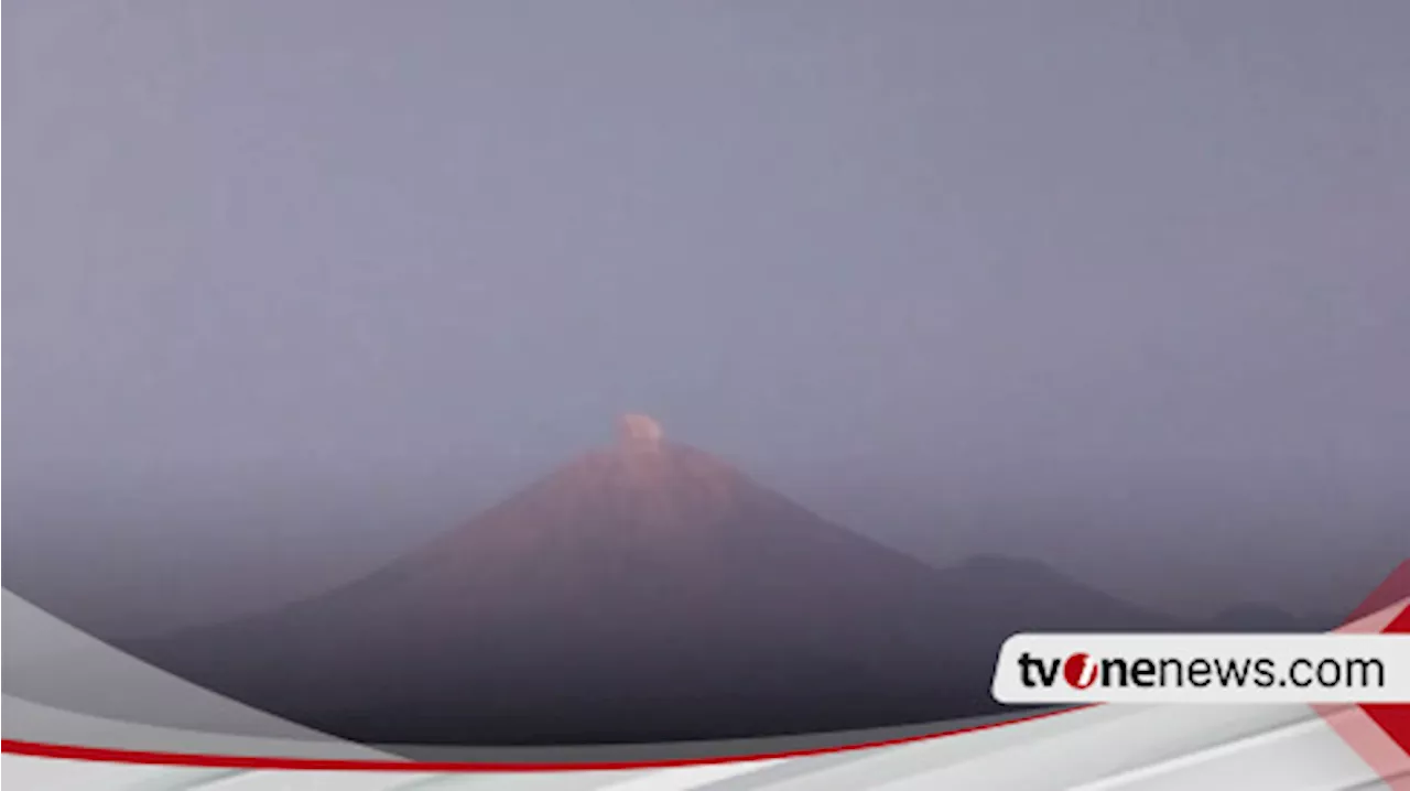 Erupsi Lagi, Gunung Semeru Lontarkan Abu Vulkanik Setinggi 500 Meter