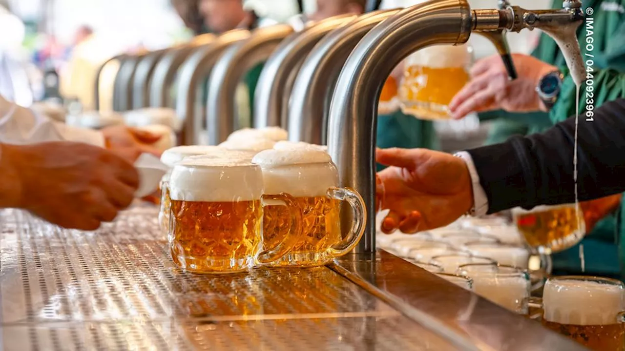 Sommelier testet, welches alkoholfreie Münchner Bier am besten schmeckt