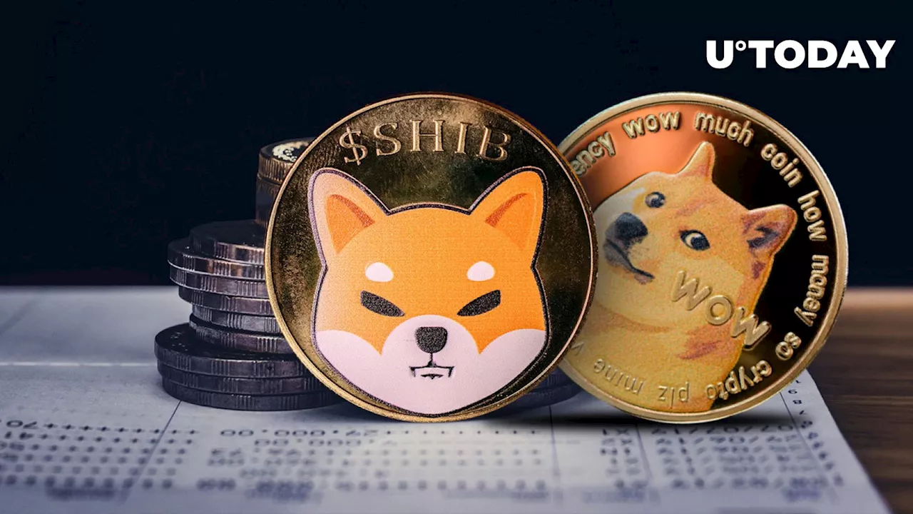 DOGE Days Are Numbered: Official SHIB X Handle States