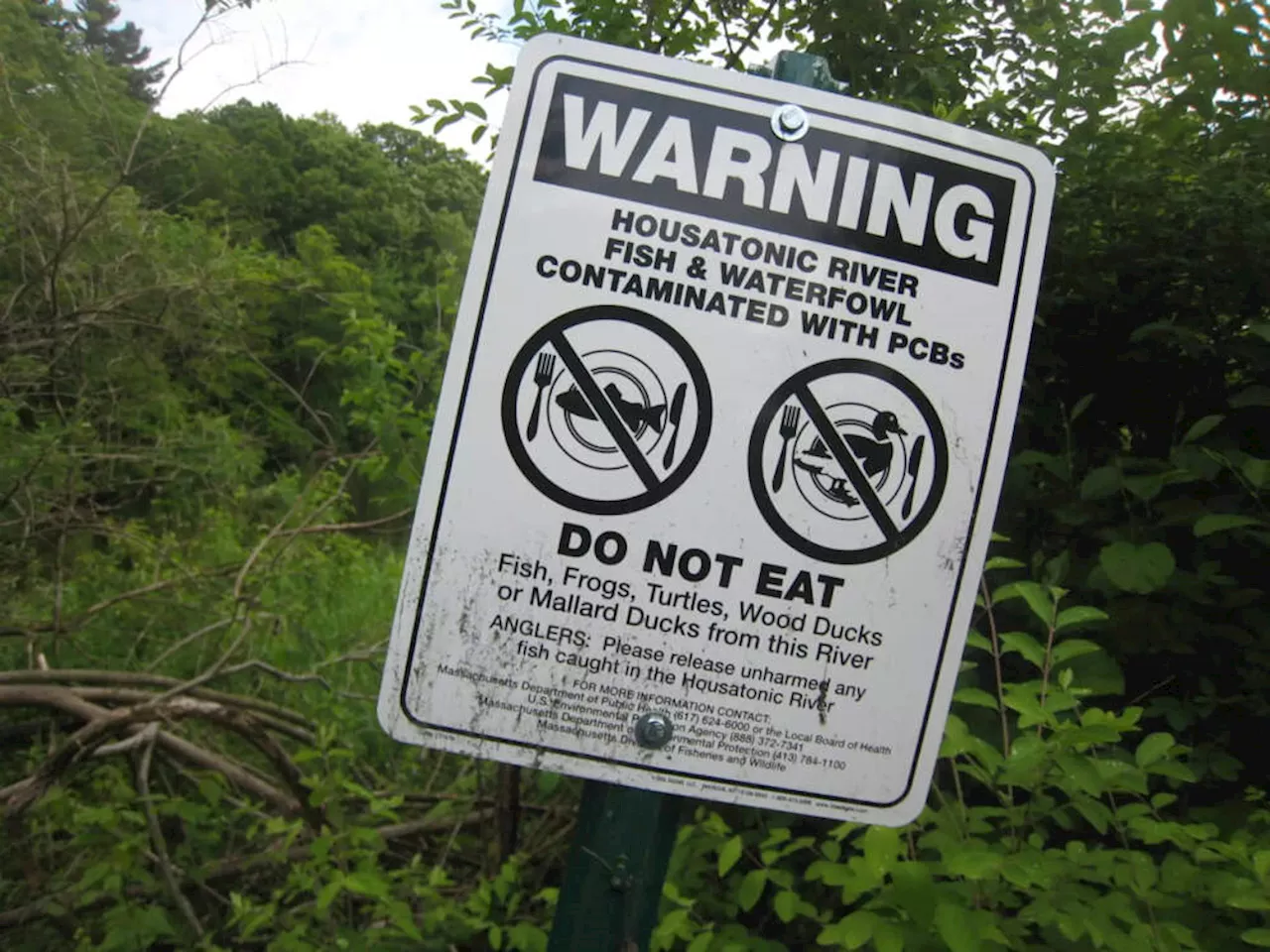 Lee again sues GE, Monsanto over Housatonic River pollution