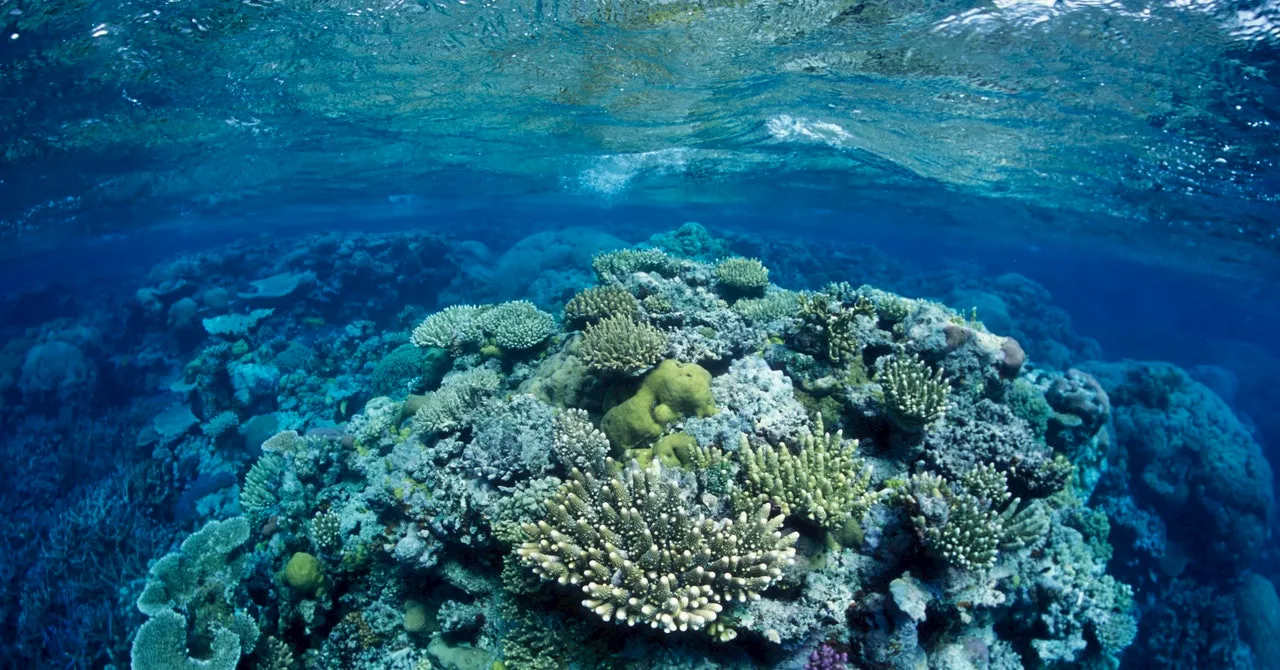 Scientists Are Tinkering With Clouds to Save the Great Barrier Reef