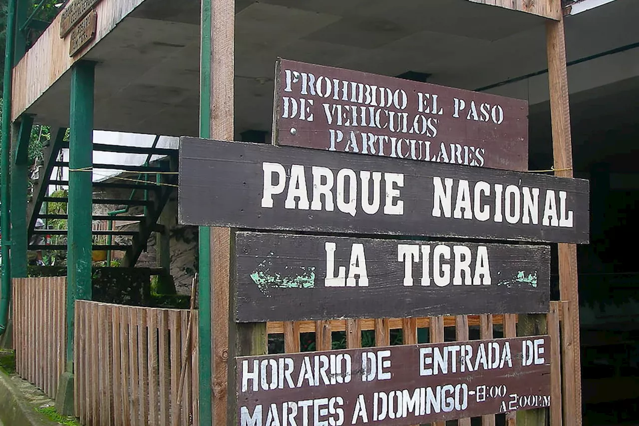 Al menos 500 hectáreas de bosque afectadas por incendio en parque nacional de Honduras