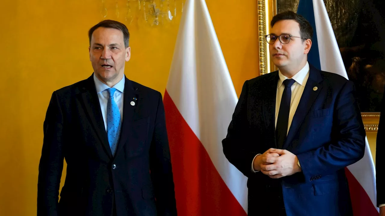 Hungary, Slovakia remain opposed to sending any arms to Ukraine to fight Russia's invasion