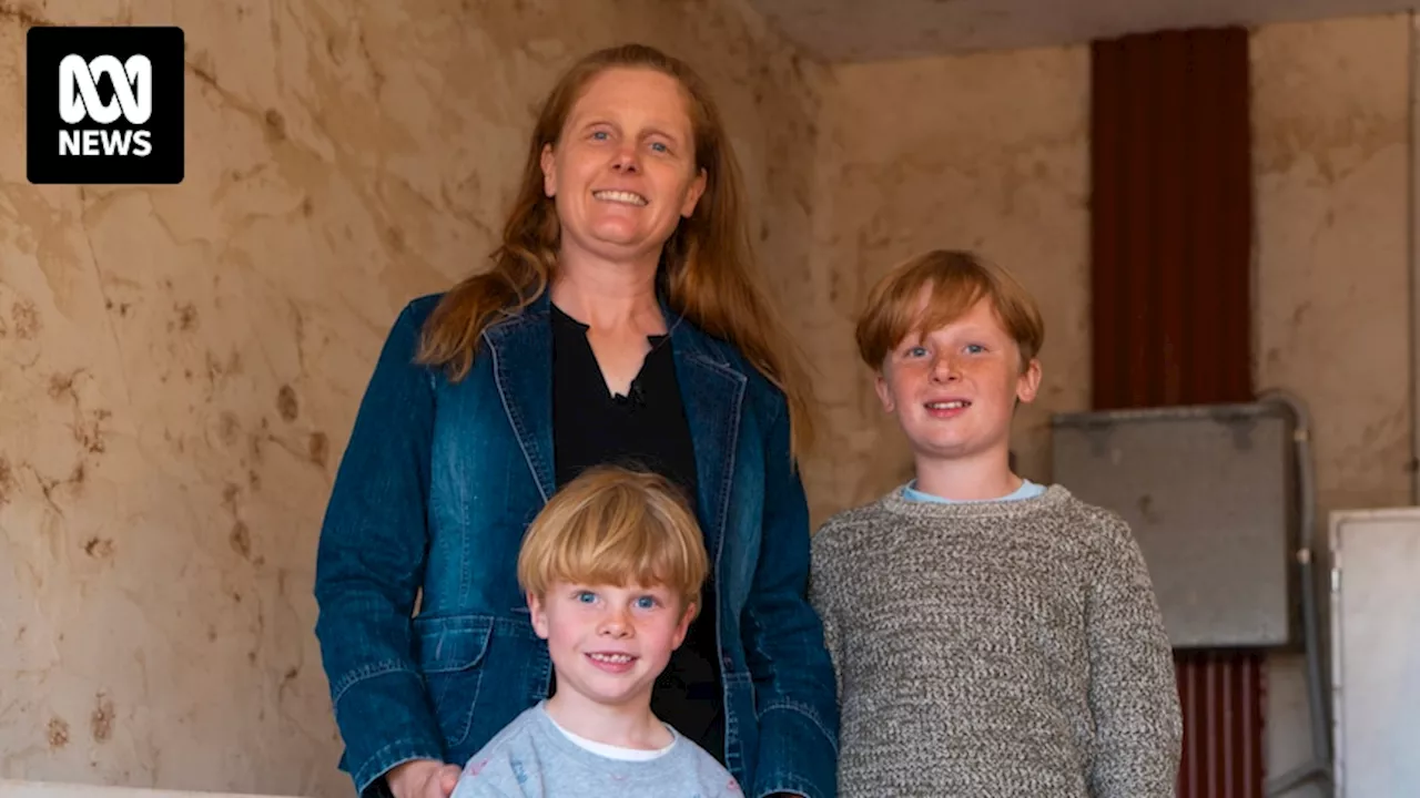 People living in straw houses to be more sustainable and cut rising power bills