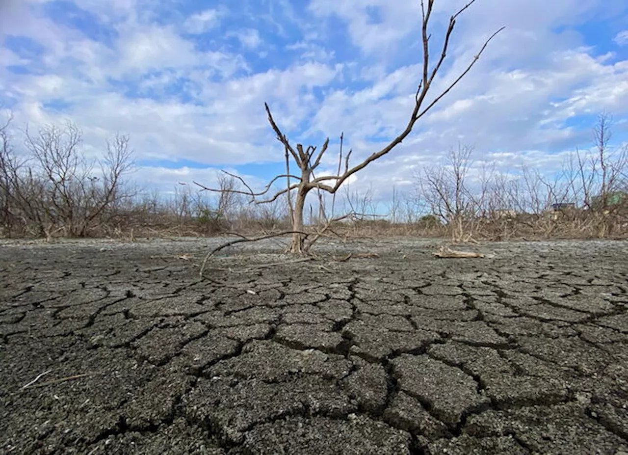 Wwf, Italia e Europa non sono preparate al rischio climatico