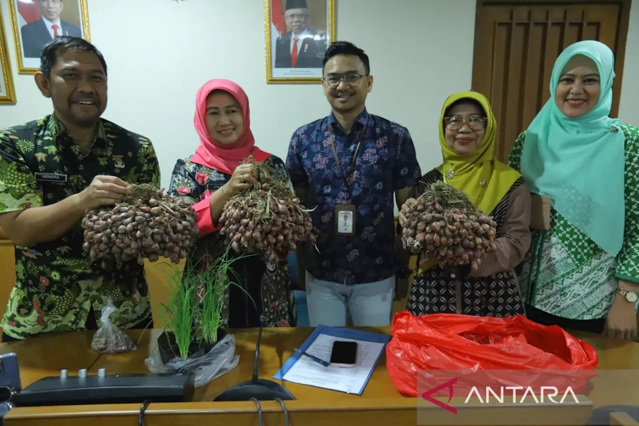 Tekan inflasi, Pemkot Jaktim akan budidaya bawang merah