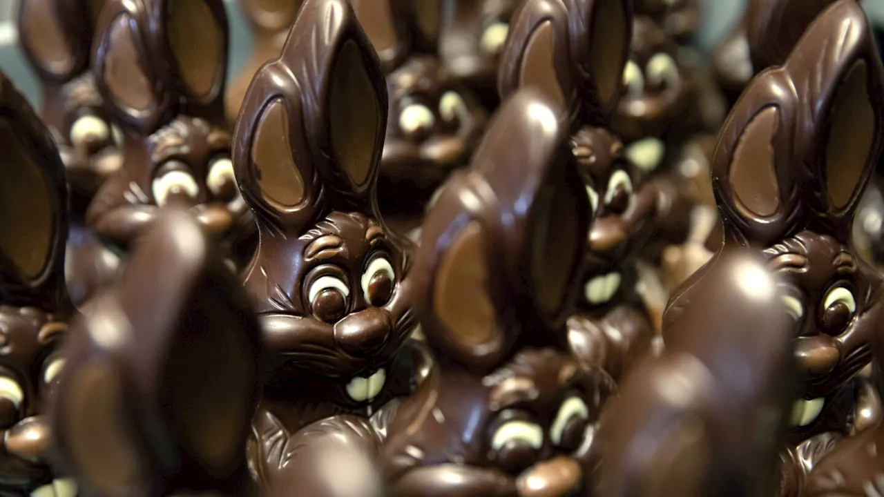 Rich cocoa prices hitting shoppers with bitter chocolate costs as Easter approaches