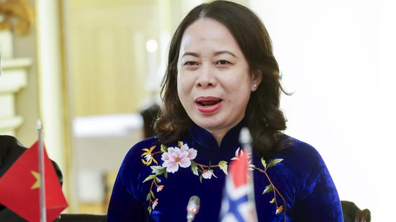 Vietnam's vice president becomes interim president