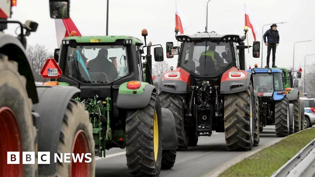 Farmers' protests: EU to cap some Ukrainian tariff-free imports