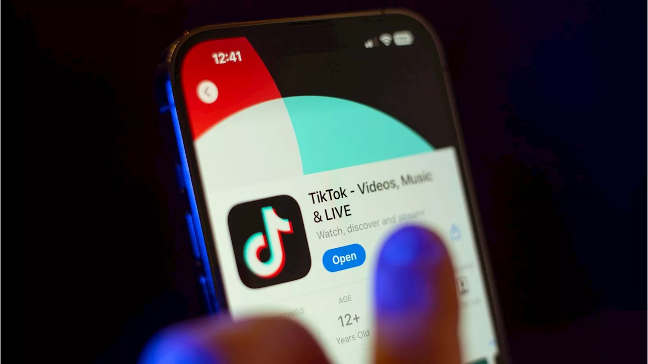 'Gefahr für Demokratie': Politiker fordern TikTok-Beschränkung