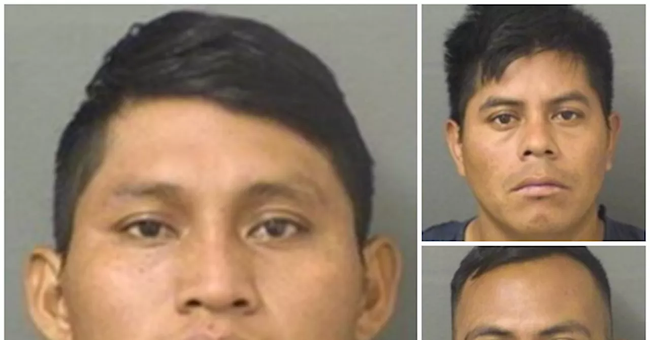 Report: Three Illegal Aliens Accused of Kidnapping, Sexually Assaulting Woman