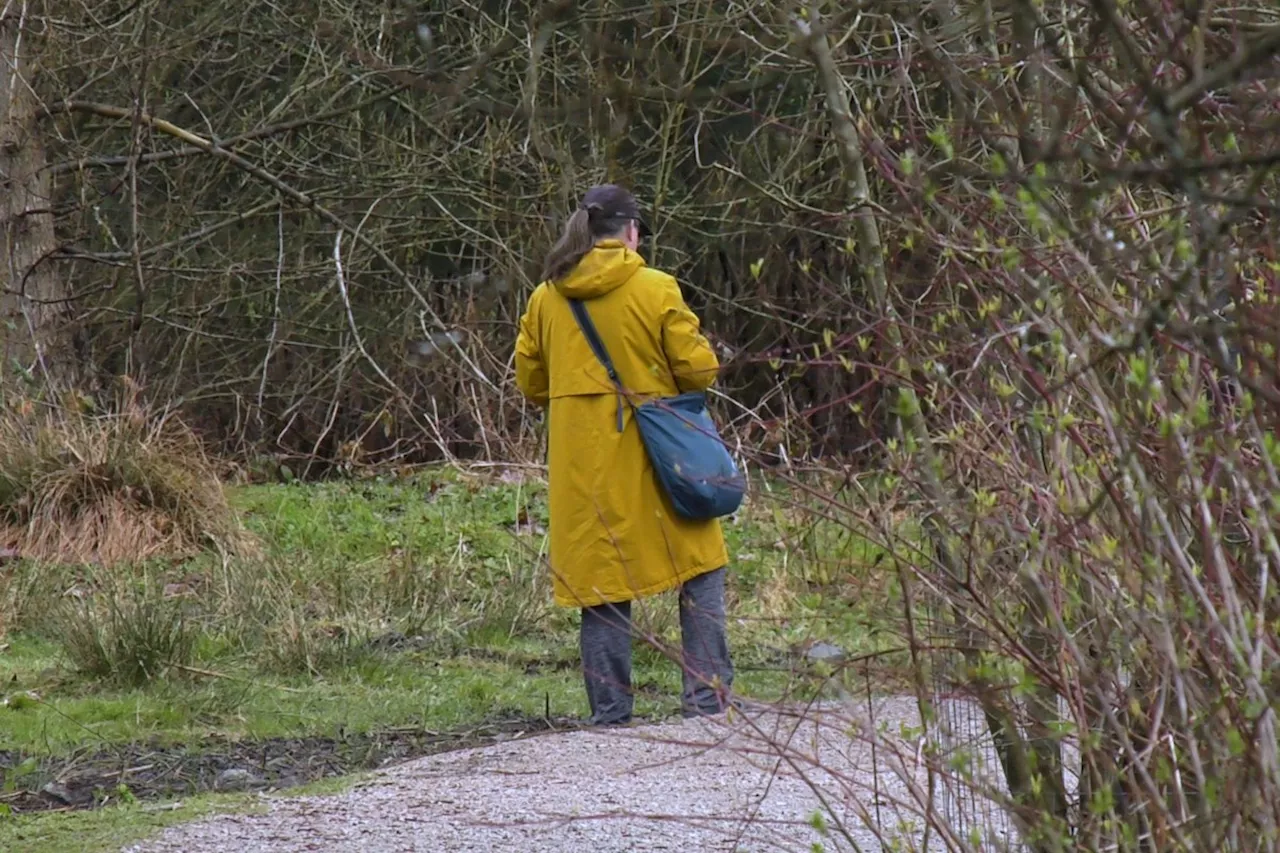 'Nature is good medicine': What is forest bathing and why are people doing it?