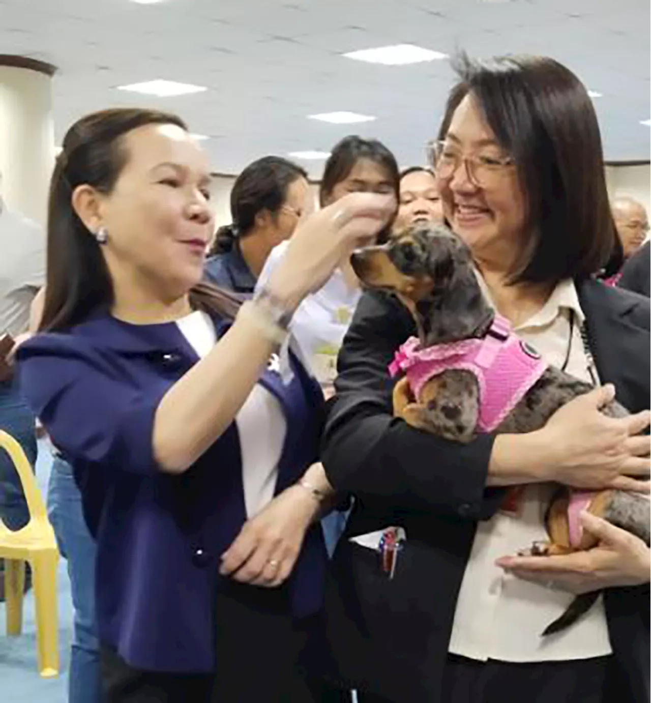 Poe pushes bill amending Animal Welfare Act as netizens rage over Golden Retriever Killua’s killing