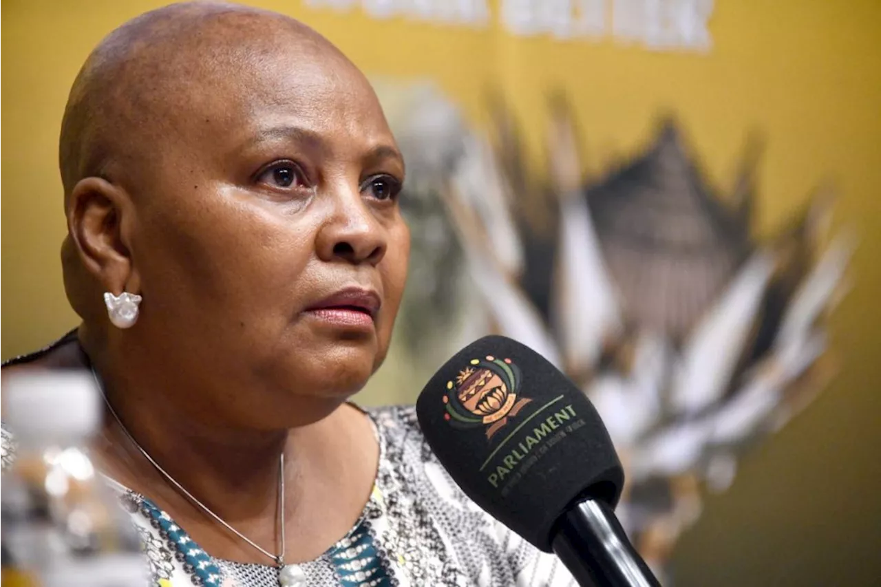 Speaker of the National Assembly Nosiviwe Mapisa-Nqakula steps aside with immediate effect