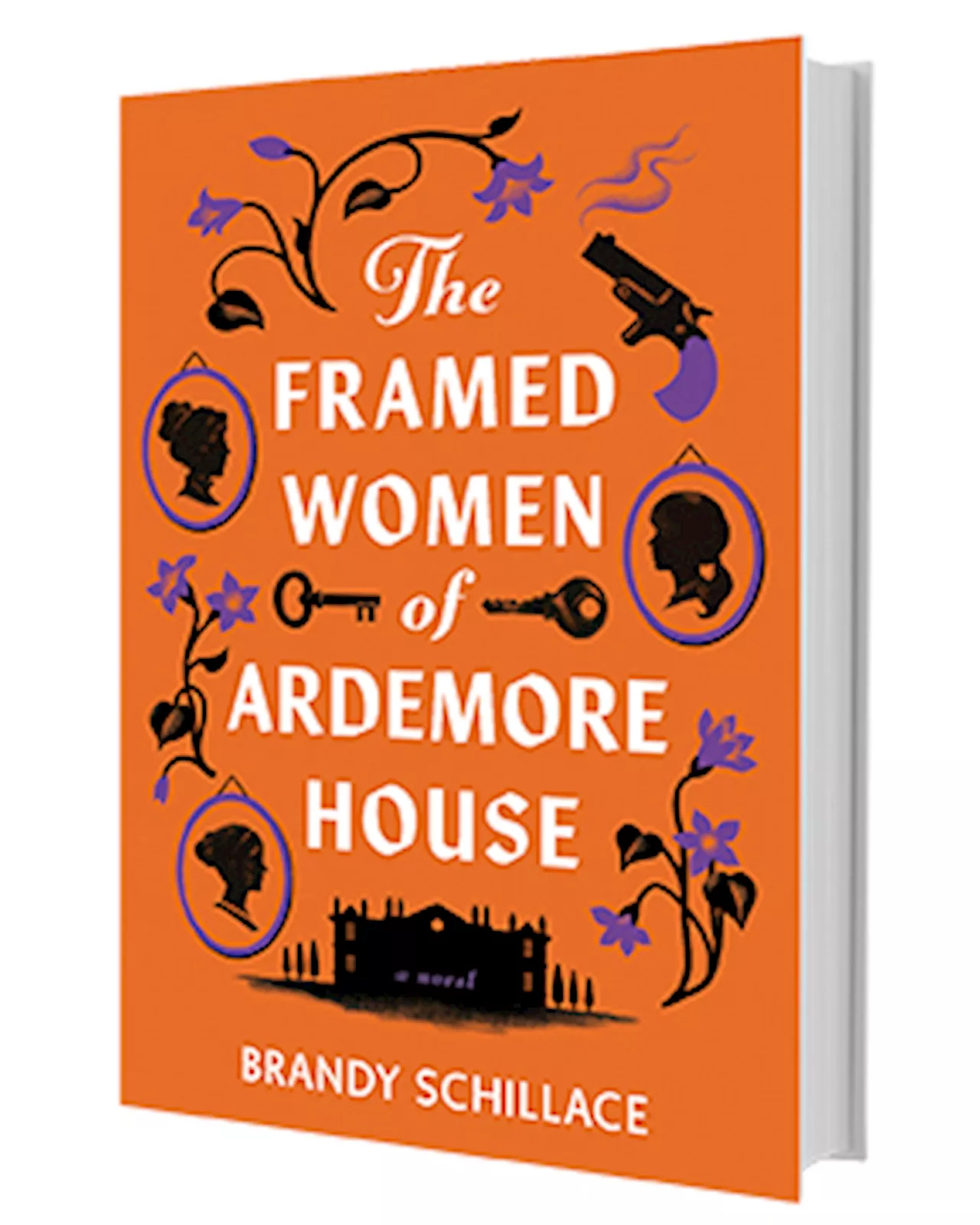  The Framed Women of Ardemore House: A Novel