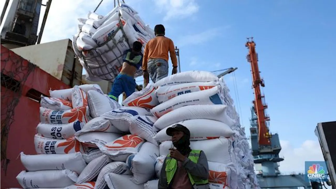 Penampakan 27.000 Ton Beras Vietnam Tiba di Pelabuhan Tanjung Priok