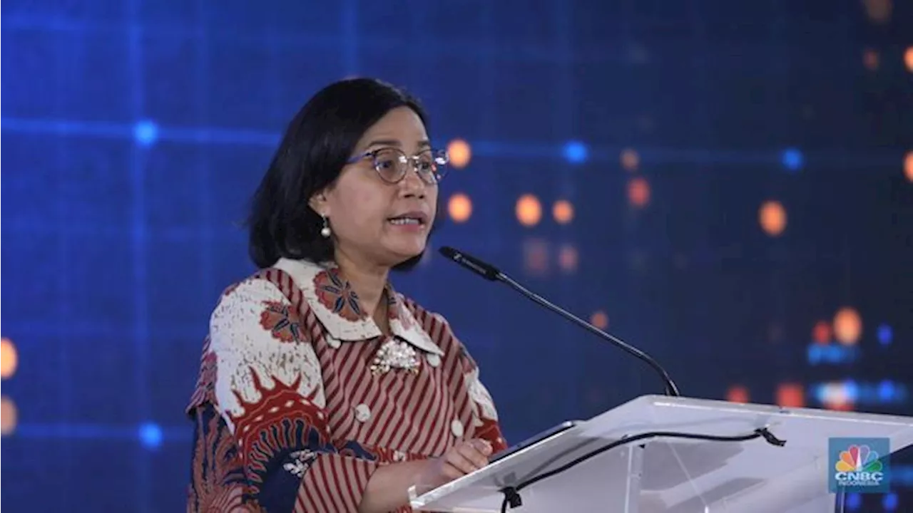 Sri Mulyani Ungkap Kepastian Kenaikan PPN 12% di Tangan Presiden Baru