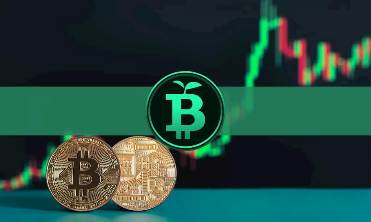 Bitcoin & Bitcoin Cash Among Top Crypto Gainers as Crypto Prices Pump: What About Green Bitcoin?