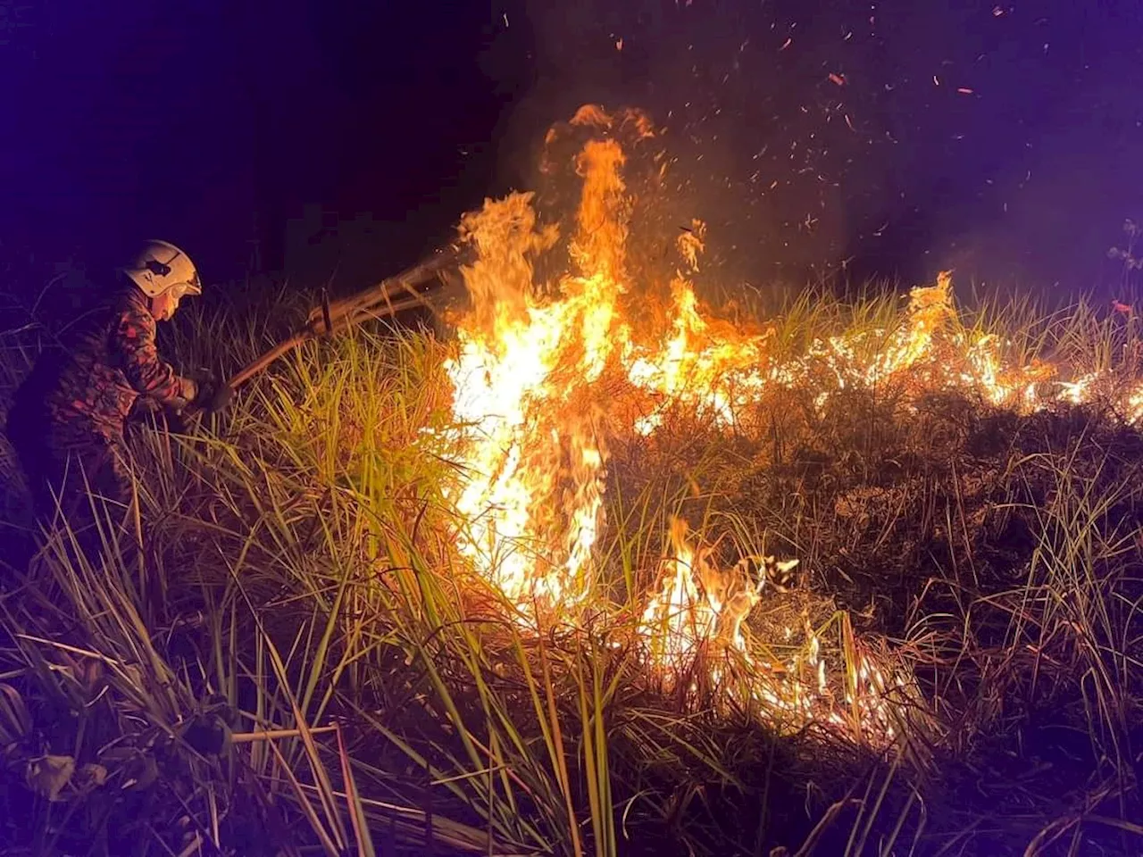 ‘Refrain from open burning’ advice: Sabah Forestry Department