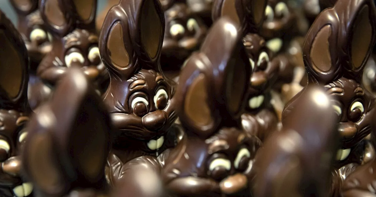 Rich cocoa prices hitting shoppers with bitter chocolate costs as Easter approaches