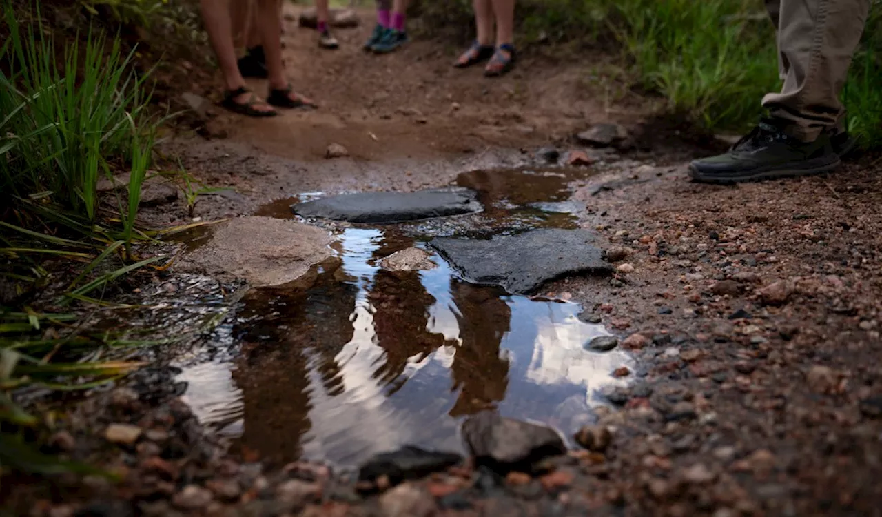 Colorado lawmakers propose plan after half of Colorado’s waters lost federal protections