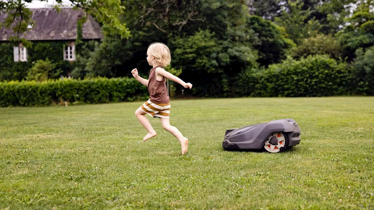 Stiftung Warentest: Wenn Mähroboter zur Gefahr für Kinderarme werden