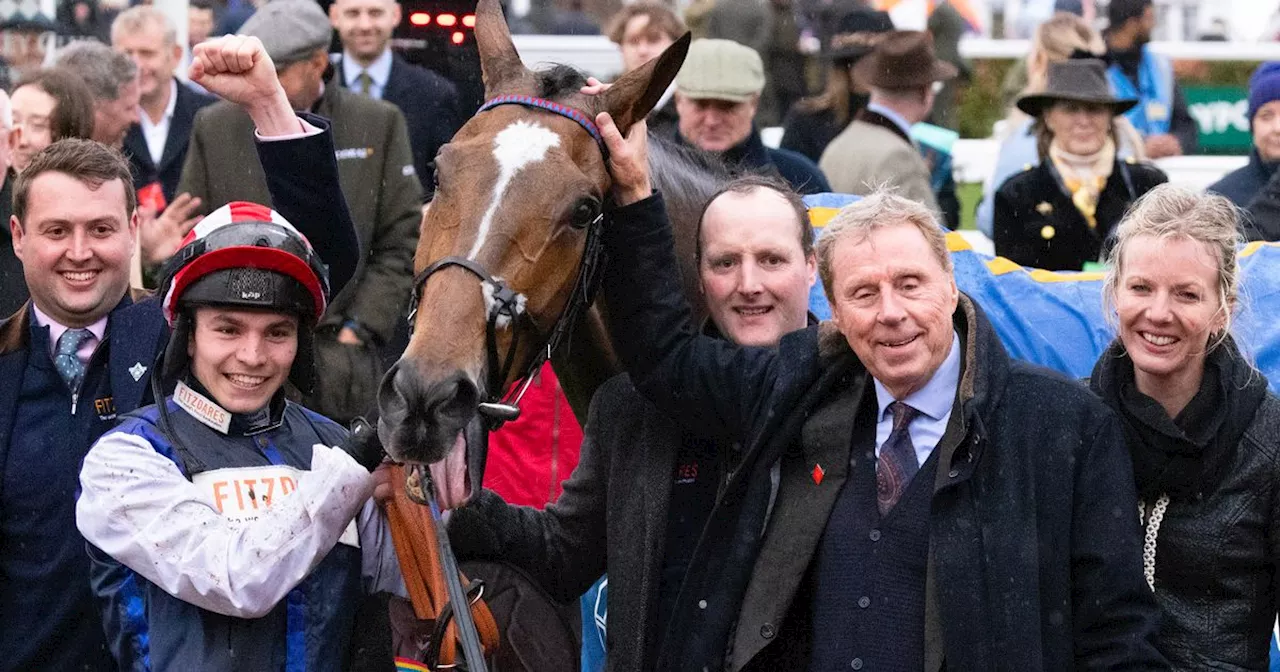 Grand National 2024: Cheltenham winner Shakem Up'Arry has two Aintree options