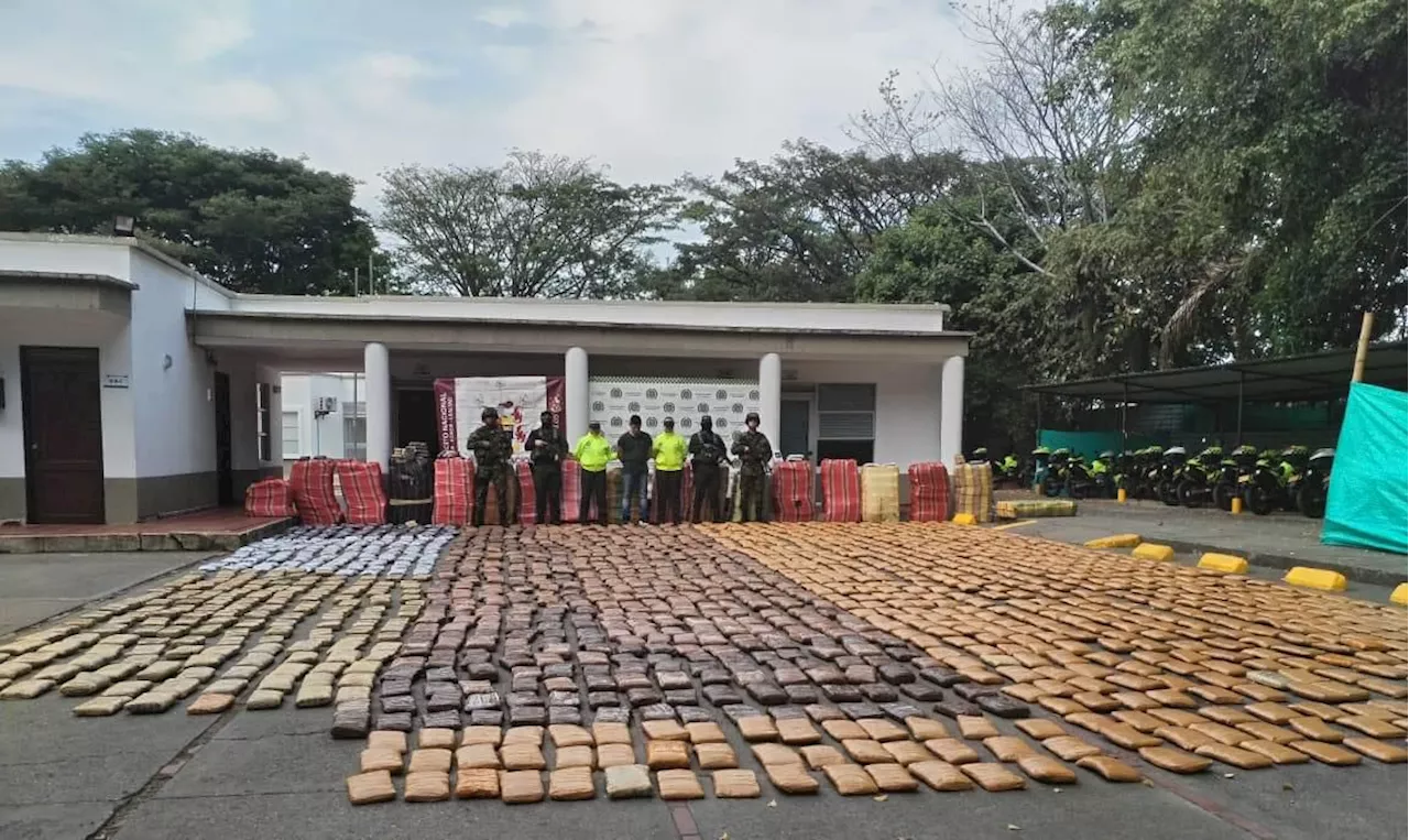 Incautan 2,7 toneladas de marihuana de disidencias de las Farc en el Cauca