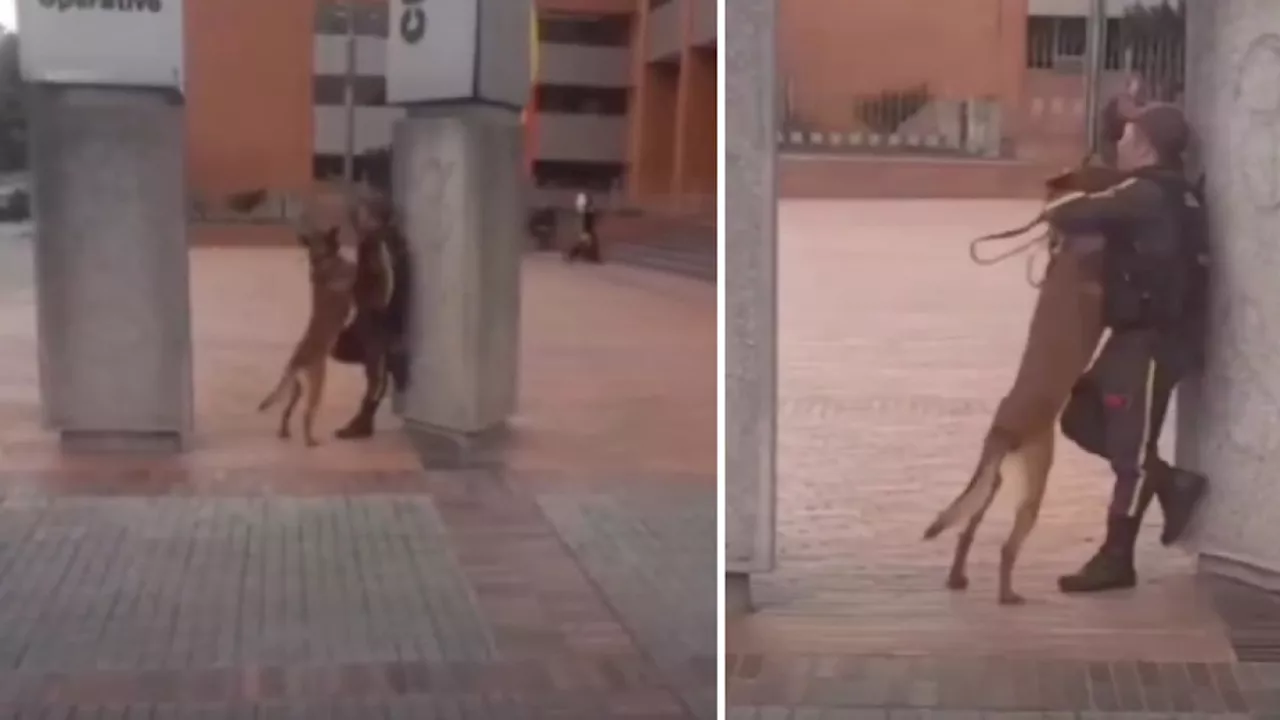 (Video) Amor puro: vigilante y su perrito se abrazan mientras están de turno en Bogotá