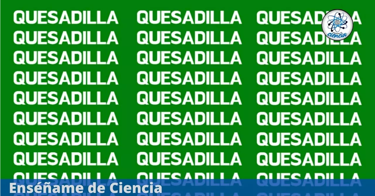 Supera el acertijo visual para HABILIDOSOS: ¿Puedes encontrar la palabra “PESADILLA” entre “QUESADILLA” en la imagen?