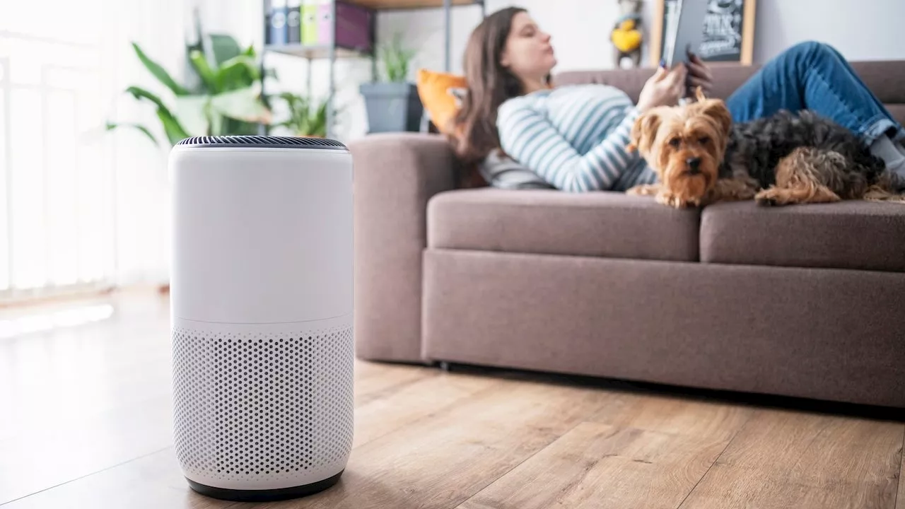 The Best Deals on Air Purifiers for Spring Allergies at Amazon’s Big Spring Sale: Molekule, Bissell and More