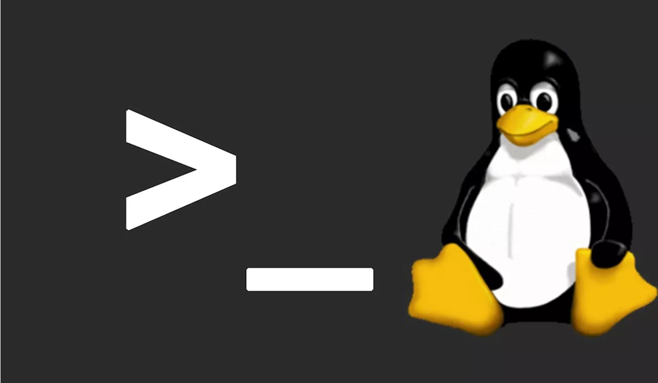 Linux: Nach Text in Dateien suchen – find text in files