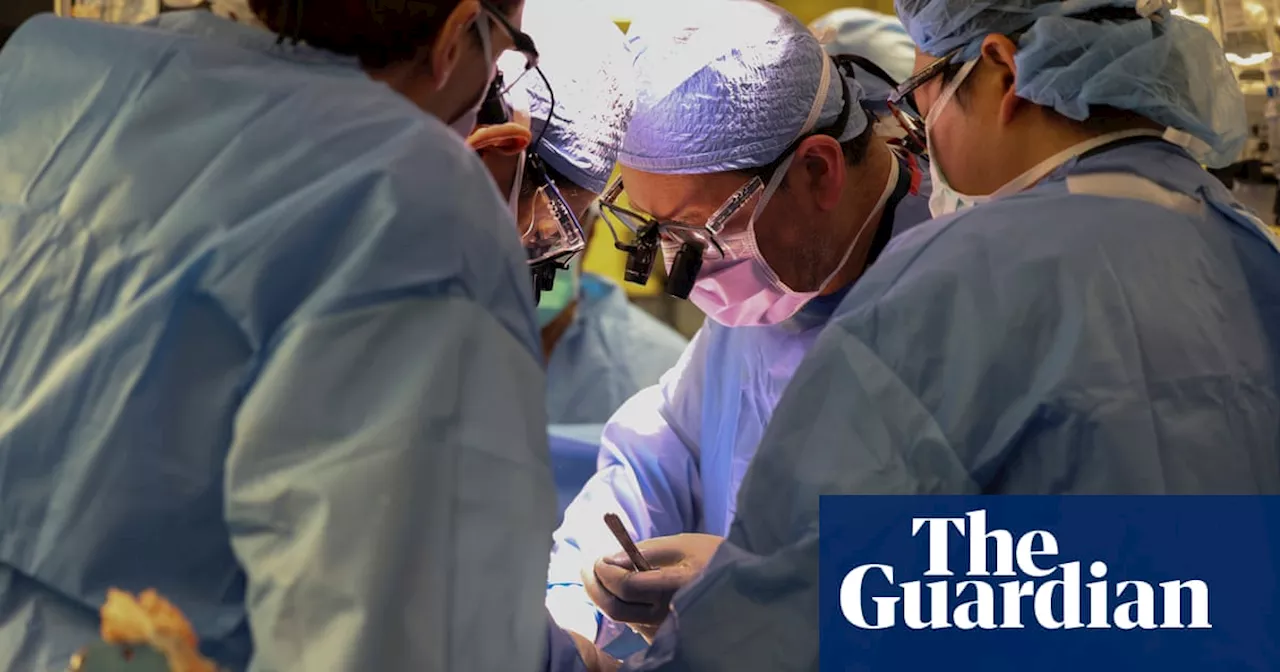 US patient receives modified pig kidney transplant in medical milestone