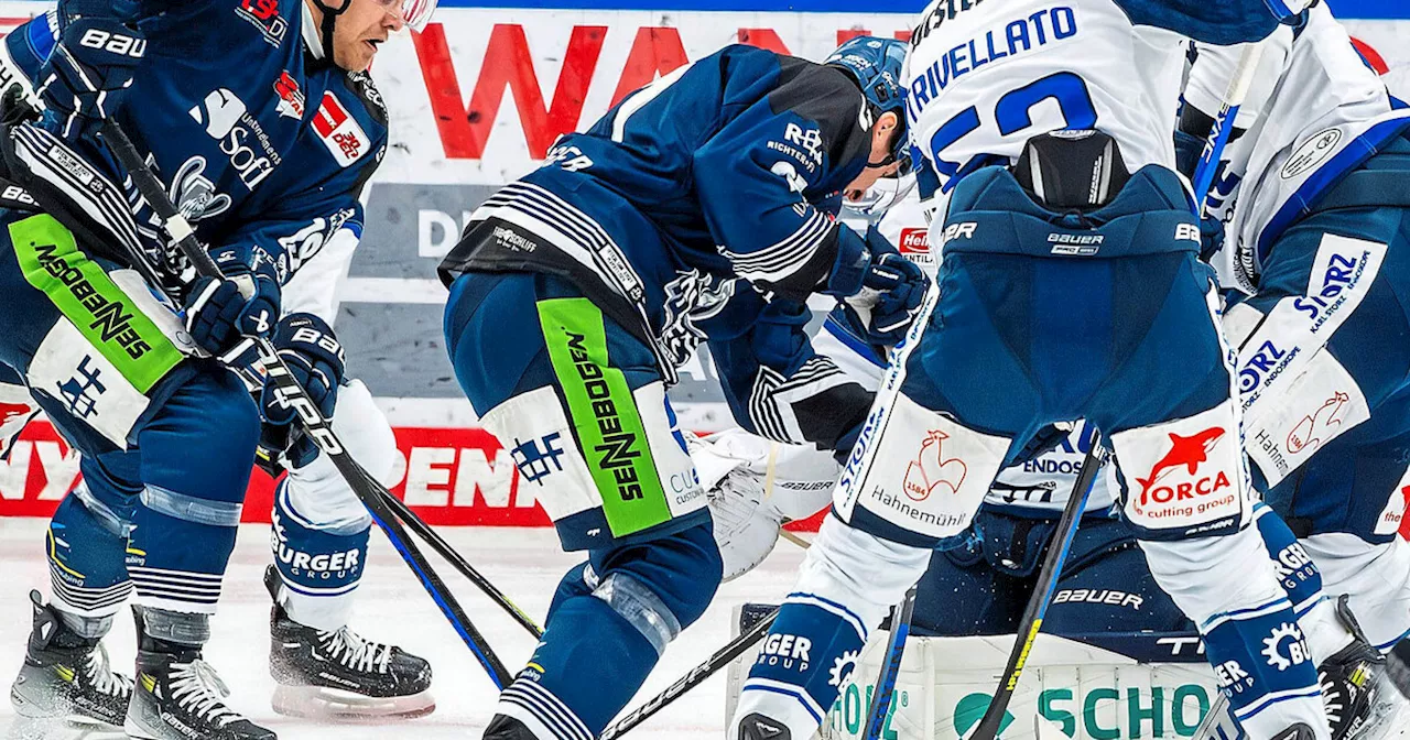 Die Straubing Tigers wollen daheim gegen Schwenningen wieder vorlegen