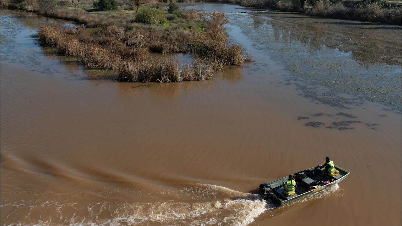 Los ahogamientos en el río Guadiana a su paso por Badajoz se cuentan por decenas